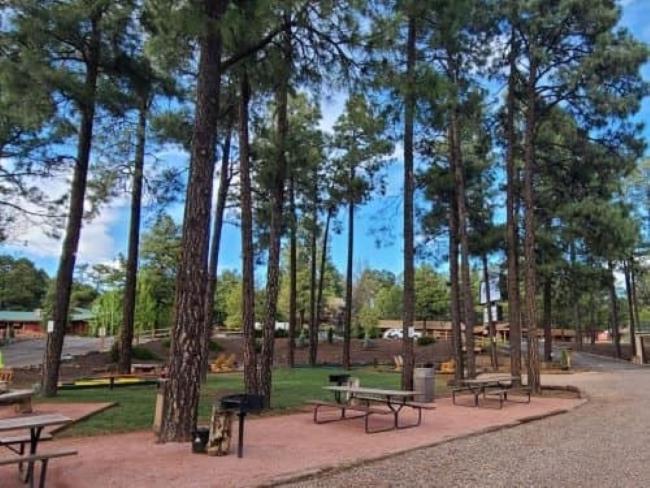 The Nook Pinetop Экстерьер фото